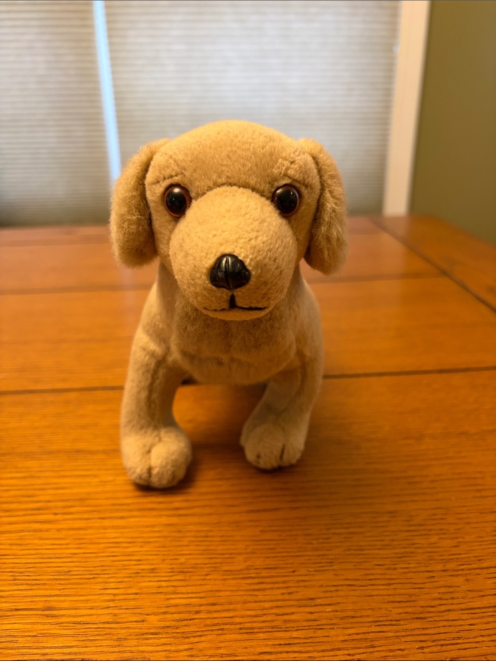 American Girl Kailey Plush Stuffed Poseable Pet Dog Sandy